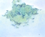 Quelque part au fond du jardin - Jardin